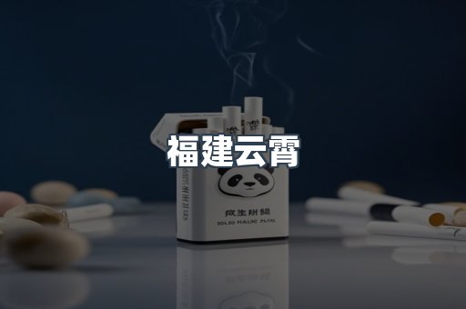 福建云霄